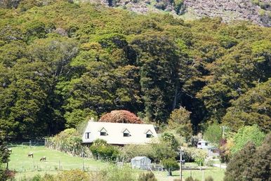 Makarora NZ Lodge, Units, Small Hobby Farm for sale where buyer can own business and live in paradise 